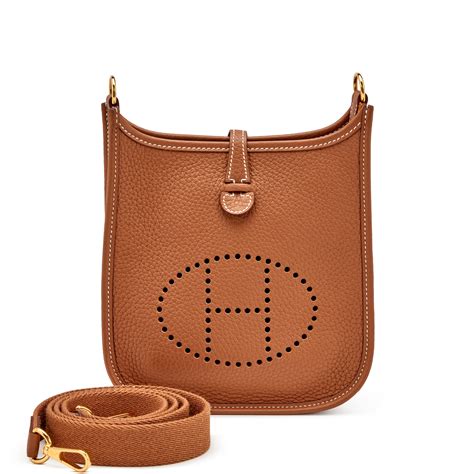 tpm evelyne hermes bag|how to buy hermes evelyne.